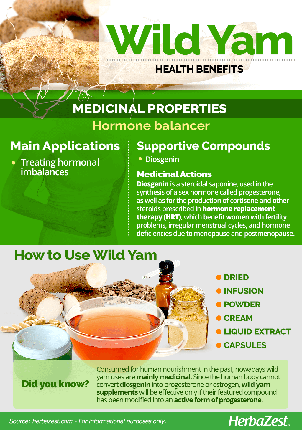 All About Wild Yam